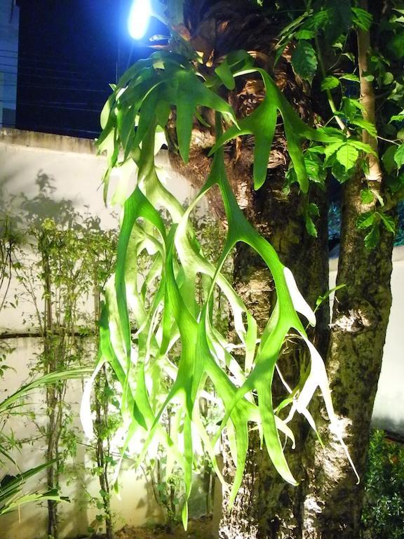 Green House Phuket Pa Khlok Экстерьер фото