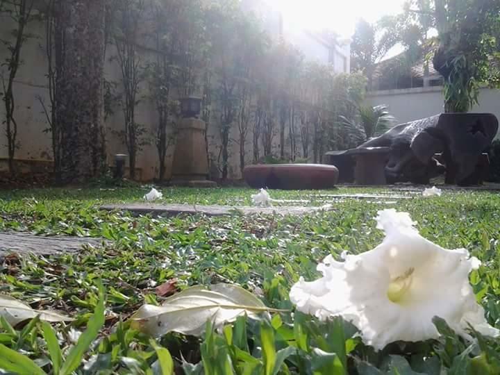 Green House Phuket Pa Khlok Экстерьер фото